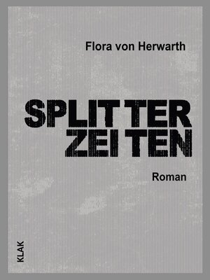 cover image of Splitterzeiten